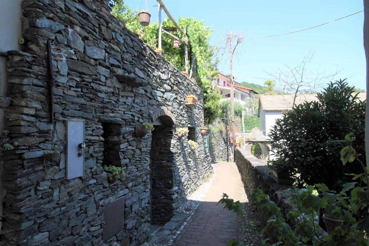 Il Rosale A Celle Ligure Bed & Breakfast Exterior photo