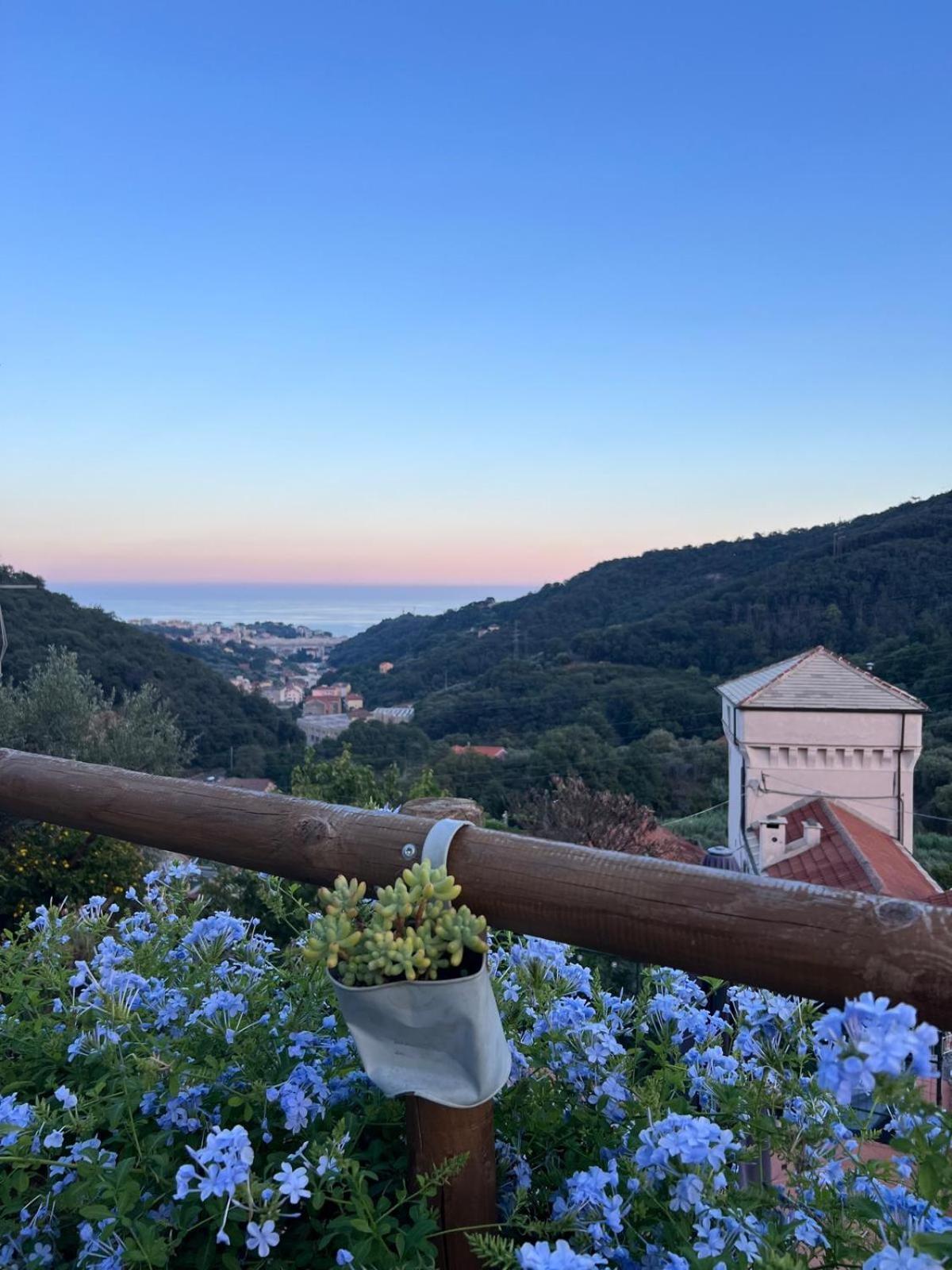 Il Rosale A Celle Ligure Bed & Breakfast Exterior photo